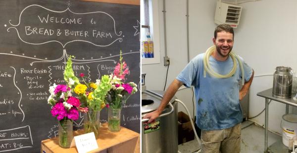 Bread and Butter, Shelburne