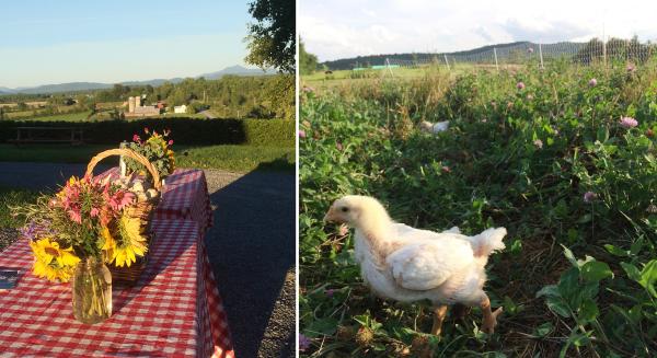 Philo Ridge Farm, Charlotte, VT