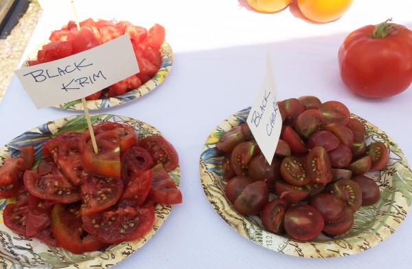 Red Wagon Farm, Hinesburg, VT